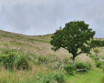 황매산 오토캠핑장_24