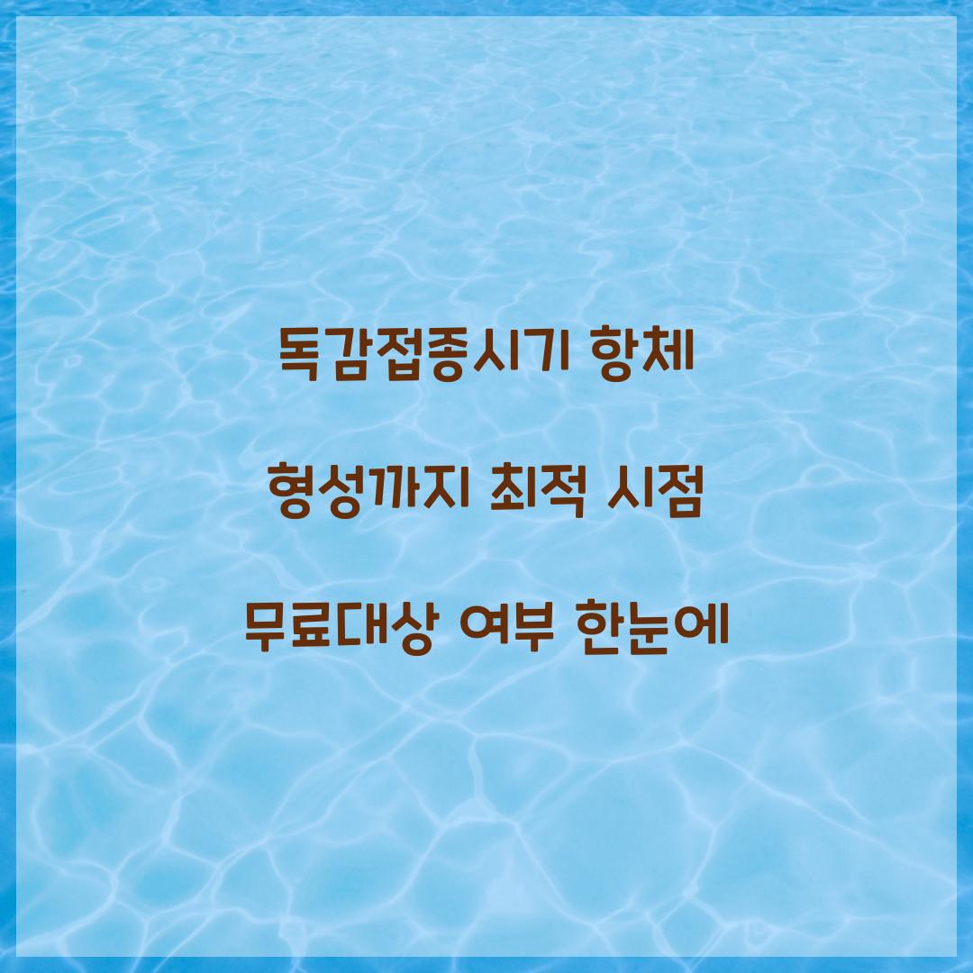 독감접종시기