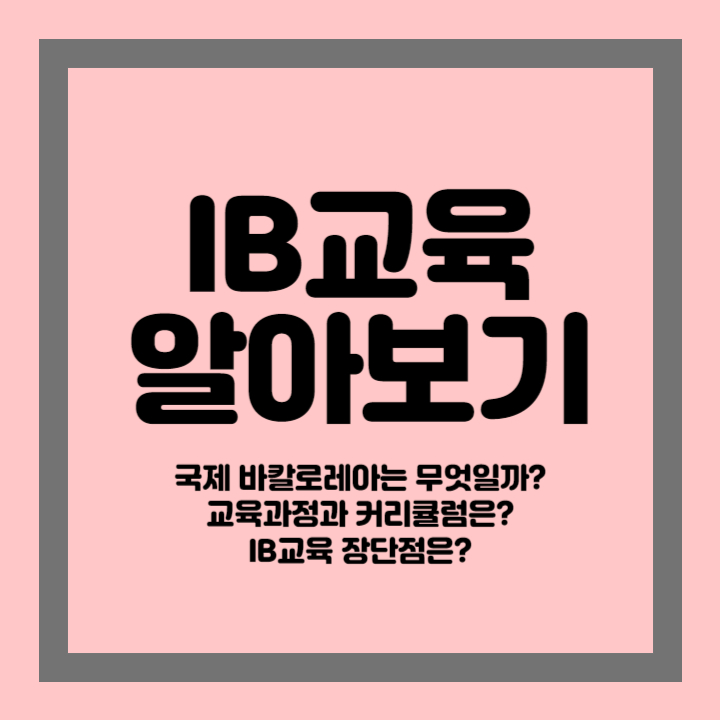 IB교육 소개 카드