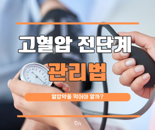 고혈압 전단계 관리