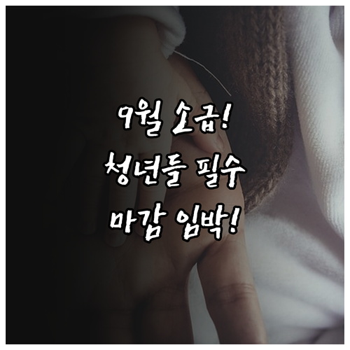 부여군 청년월세지원 9월 소급 지급 ..