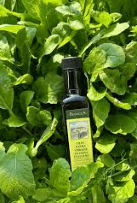 몸속-염증에-좋은-음식