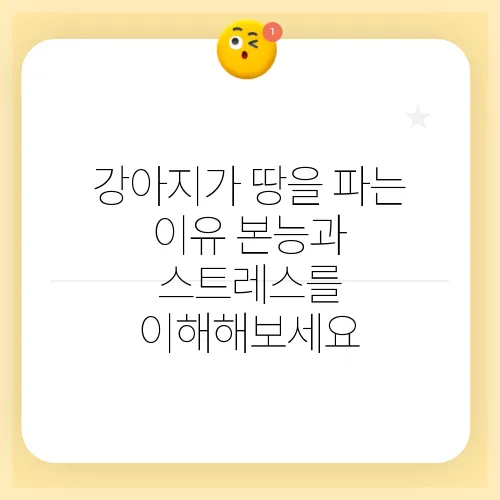 강아지가 땅을 파는 이유 본능과 스트레스를 이해해보세요