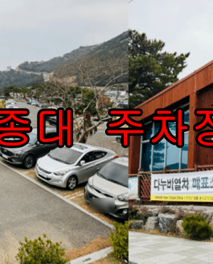 태종대 다누비열차 시간, 요금, 주차장