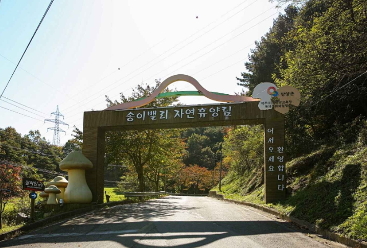 양양 가볼만한곳 베스트10