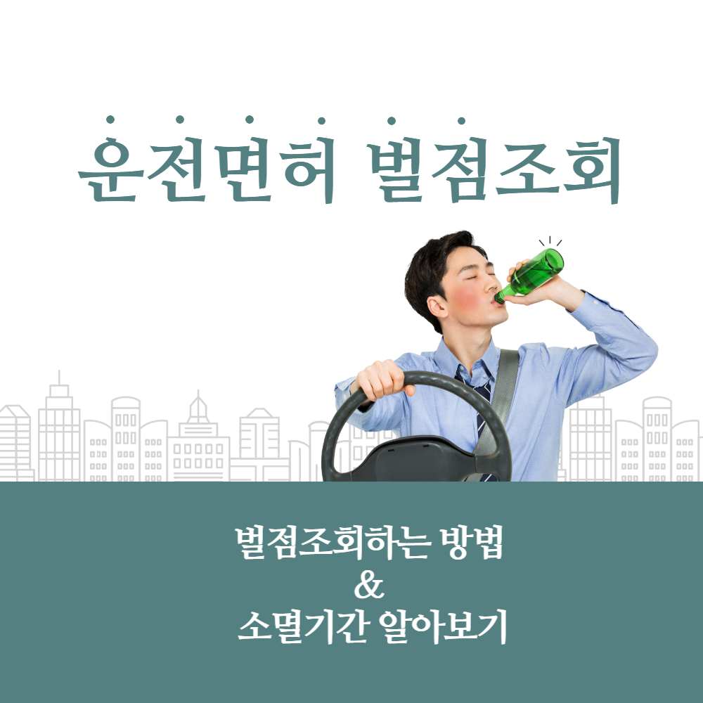 운전면허벌점조회