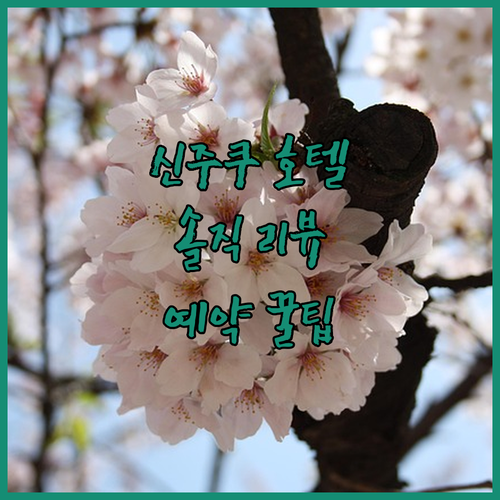 신주쿠 그랑벨 호텔, 가성비 끝판왕?
