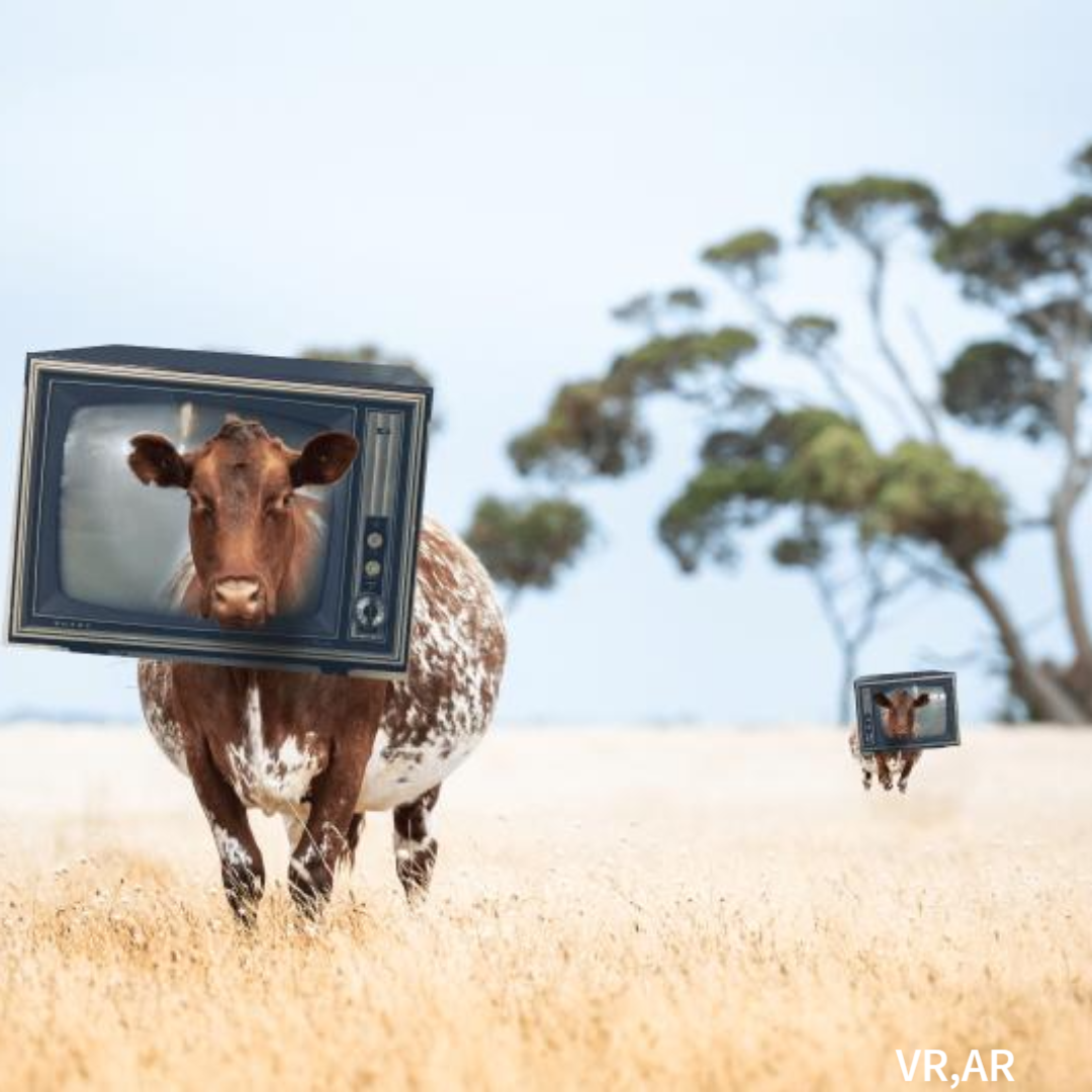 가상현실-증강현실