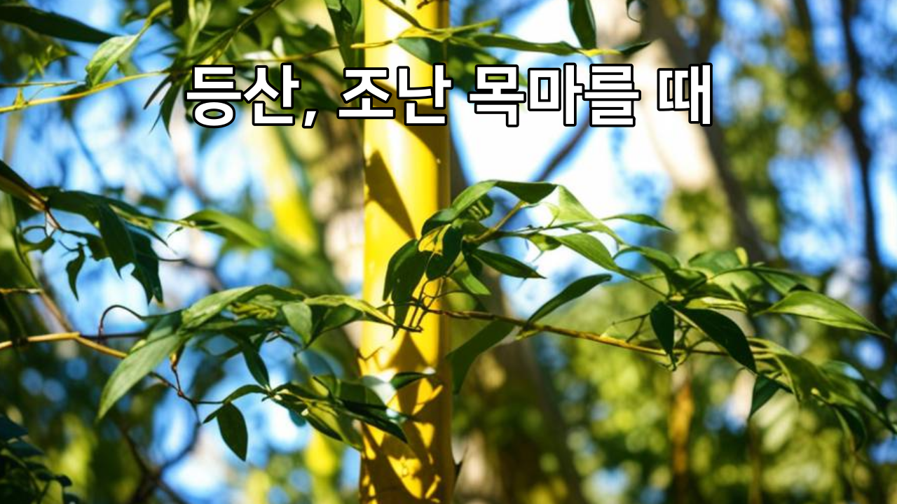 등산, 조난 목마를 때 + 조릿대가 갈증에 좋은 이유