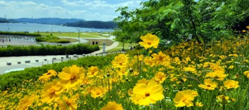 남양주 덕소공원