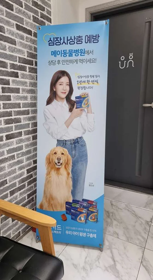 메이동물병원