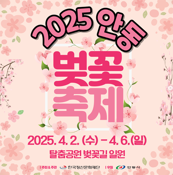 안동 벚꽃축제 월영교