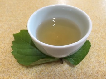뽕잎차 효능