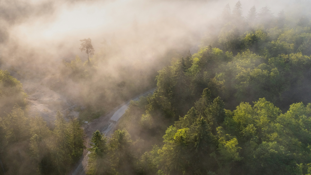 계수(癸水)의 비밀과 역동성