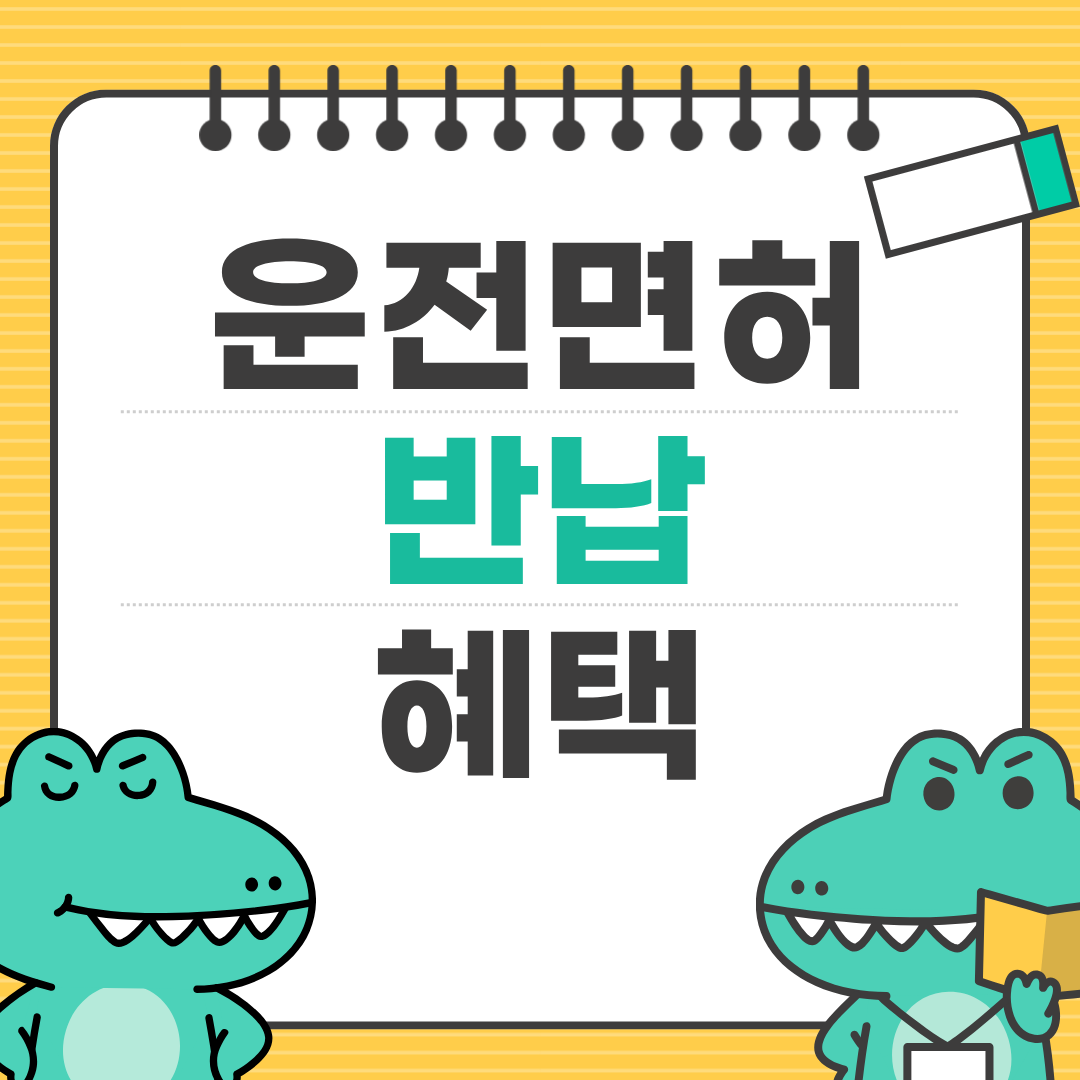 고령자 운전면허 반납 혜택 총정리