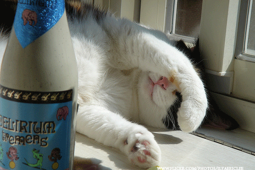 잠수타는 남자친구,남자친구 사귀는 법 중 이런 남자는 글쎄?