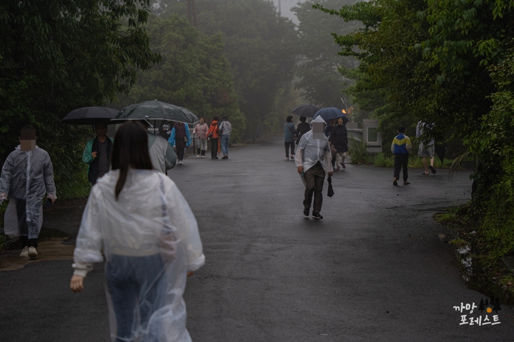 엉또 폭포 탐방길