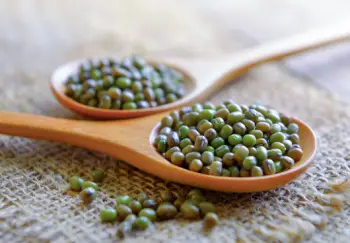 녹두 효능 및 영양성분,녹두 가격