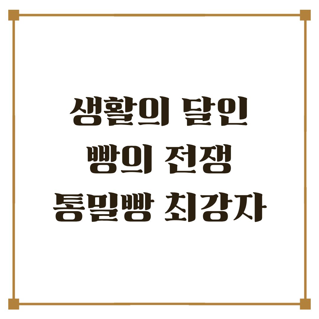 생활의달인 빵의 전쟁 통밀빵 6곳 업체 정보 택배 주문
