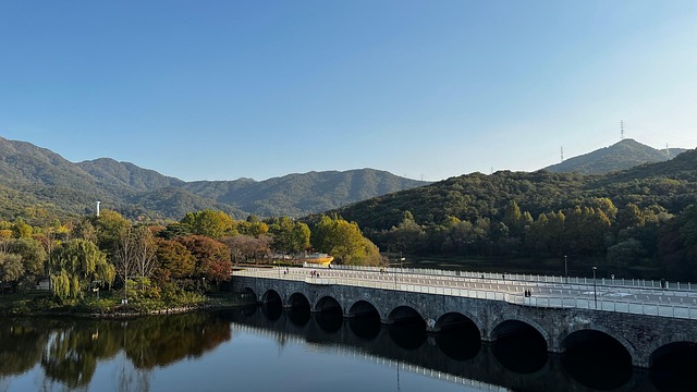 서울대공원 사진
