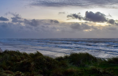 전국-해수욕장-개장일