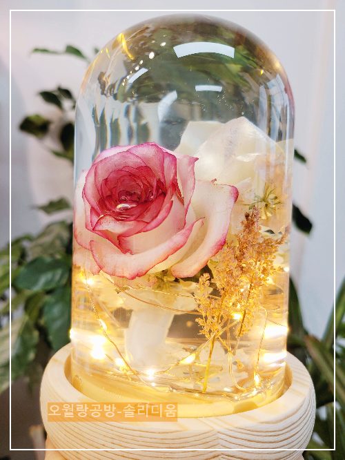 LED유리돔솔리디움
부케
오월랑공방