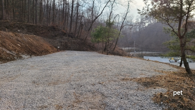 경기-연천-숲속의쉼터-캠핑장-예약-방법-애견-동반-가격-주소-시간-후기