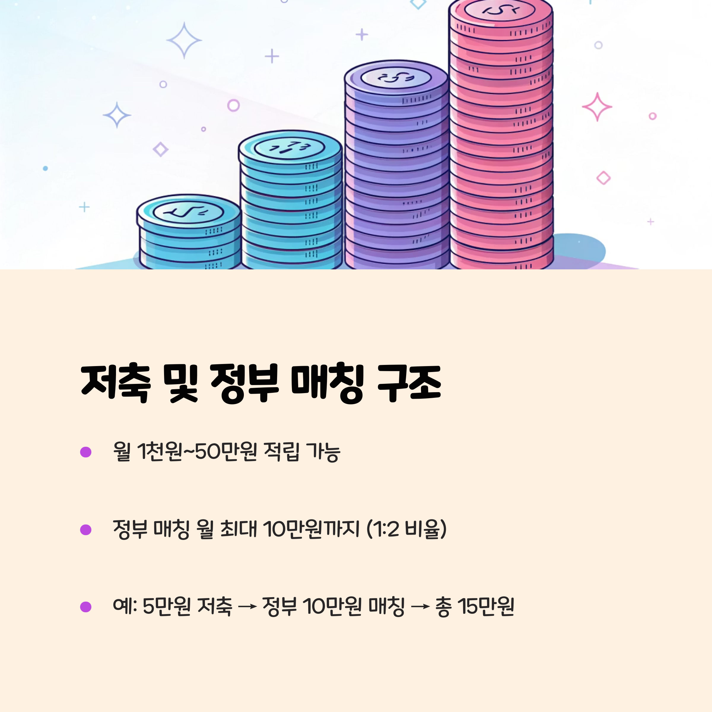 저축 및 정부 매칭 구조
