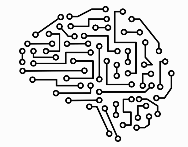 신경과학과 범행