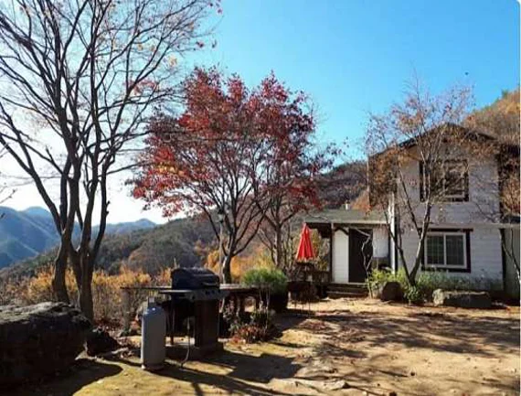 산속의아침