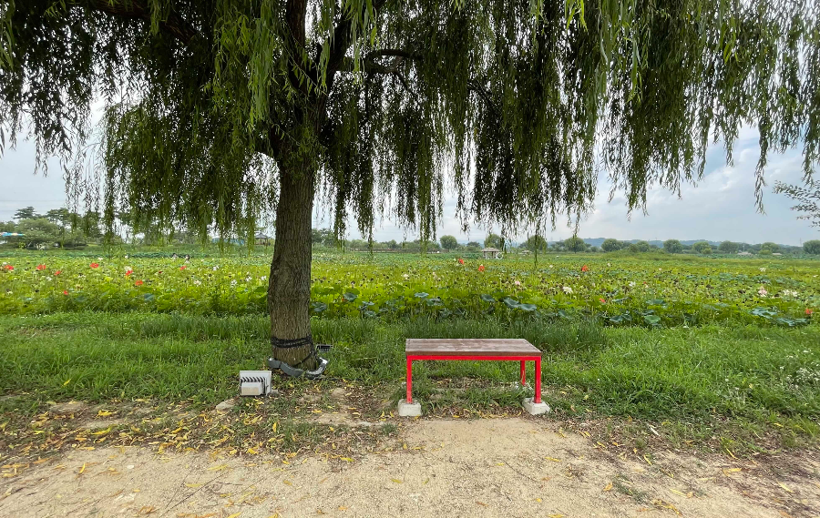 합덕제 수변공원