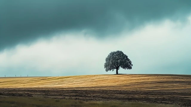 스마트폰 없이 하루 살아보기 – 현실 루틴 가이드
