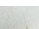 먼지다듬이 벌레