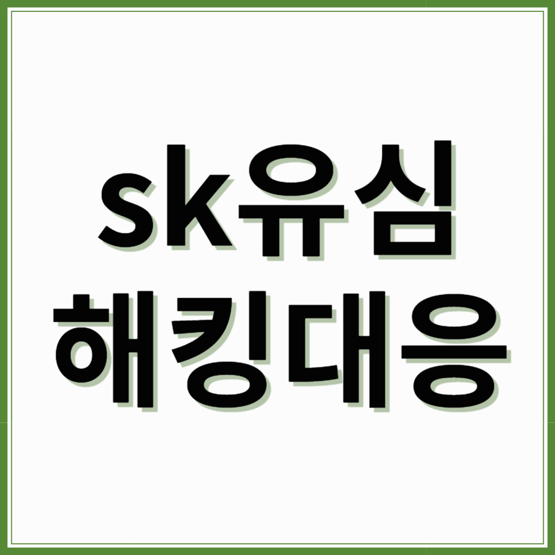 SKT 유심교체 해킹 대응 어떻게 ?