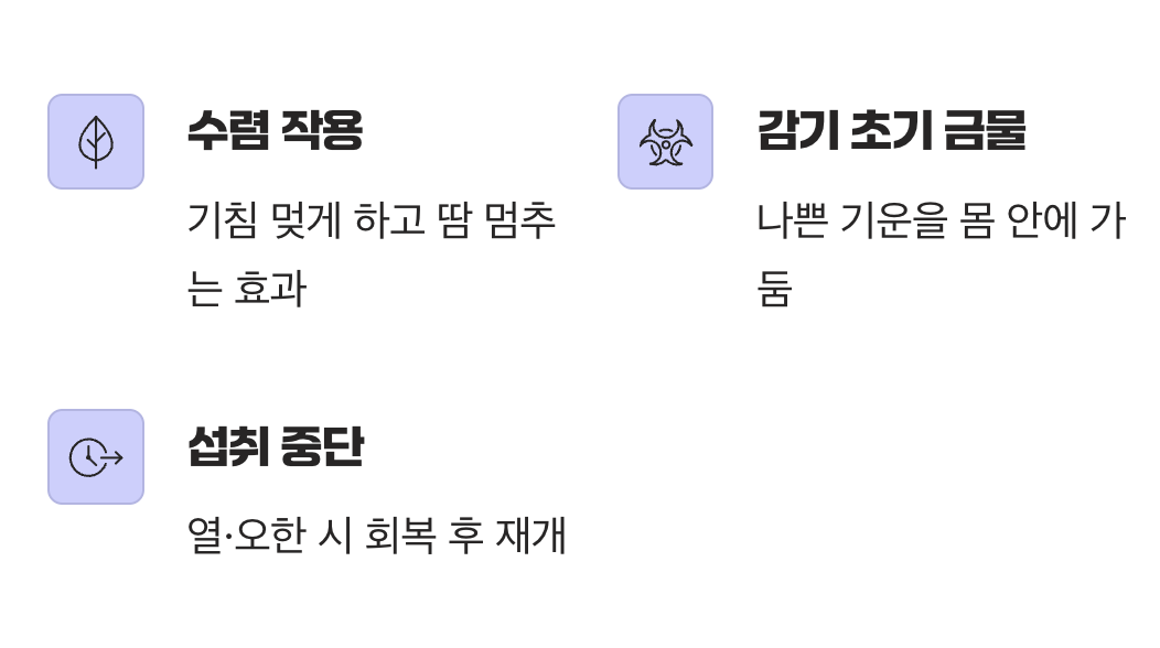 감기약과는 잠시 안녕