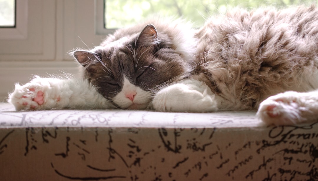 Naps