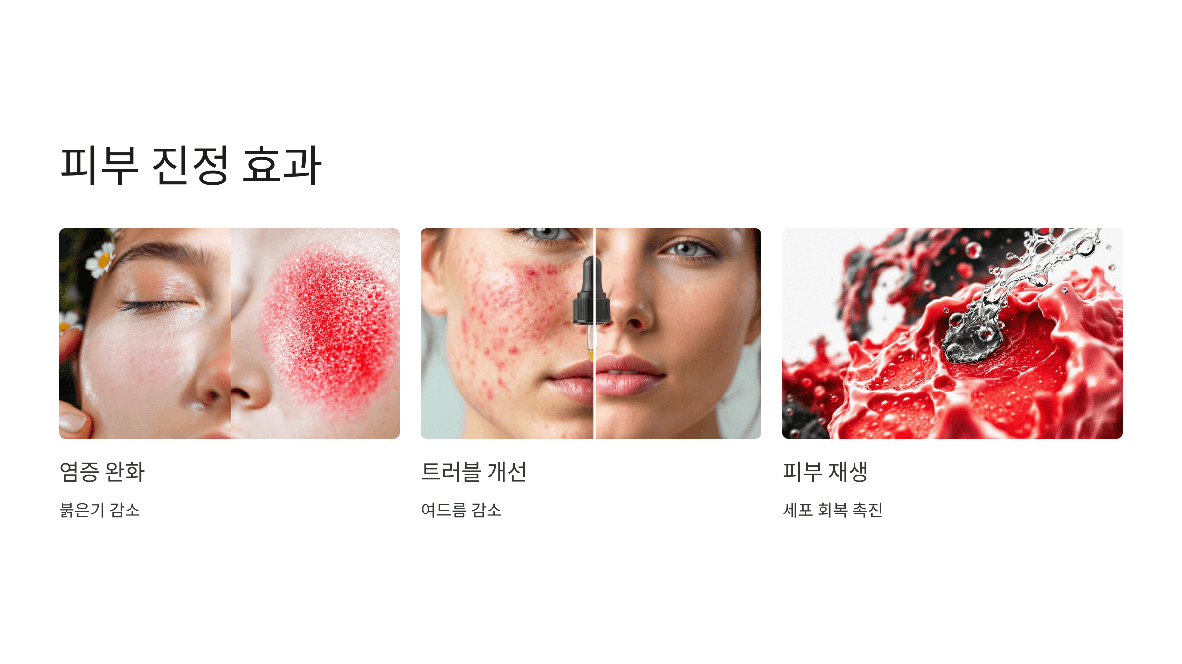 베르가못 사진입니다.
