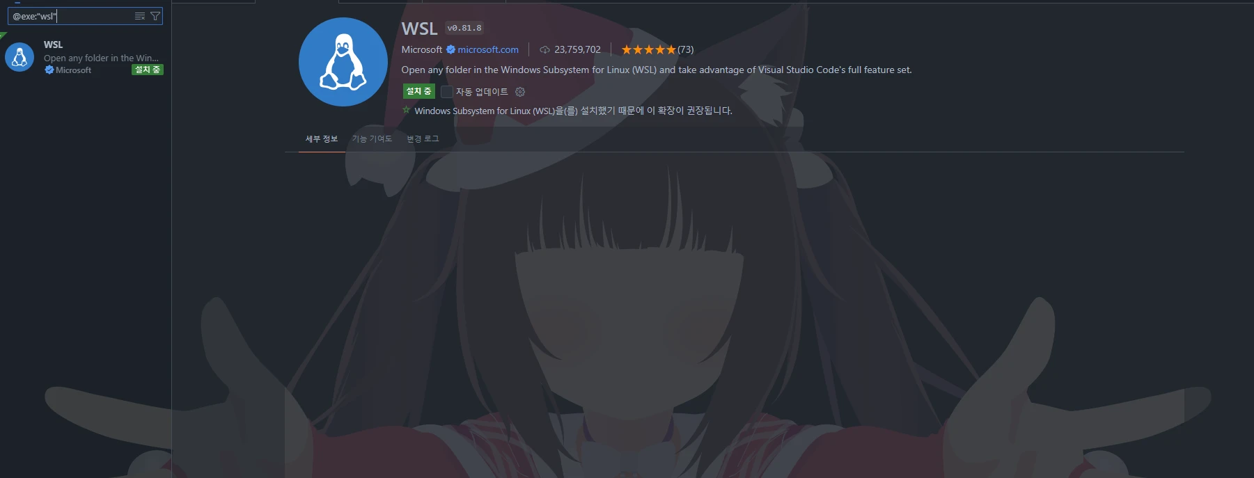 WSL 익스텐션