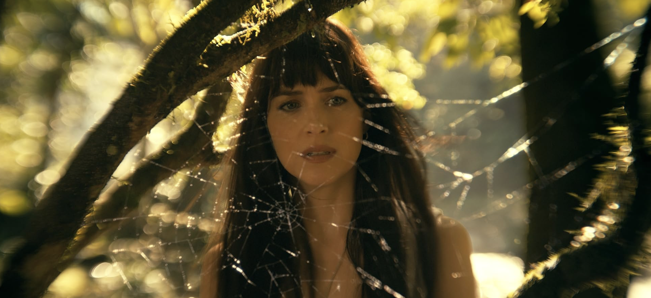 마담 웹 평점 결말 후기