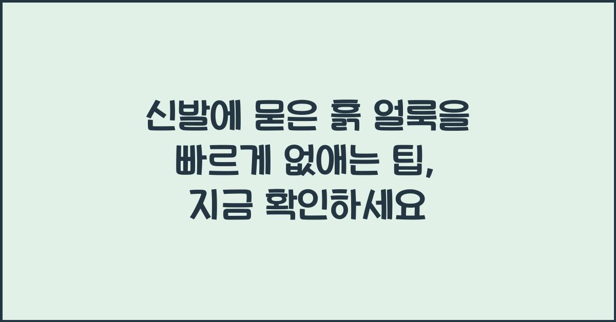 신발에 묻은 흙 얼룩을 빠르게 없애는 팁