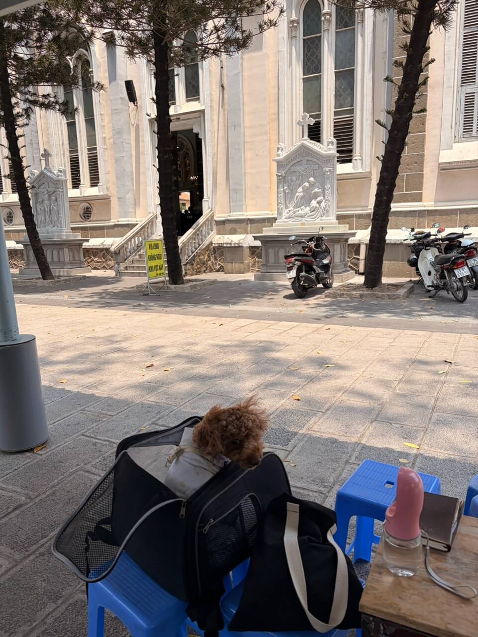 성당마당