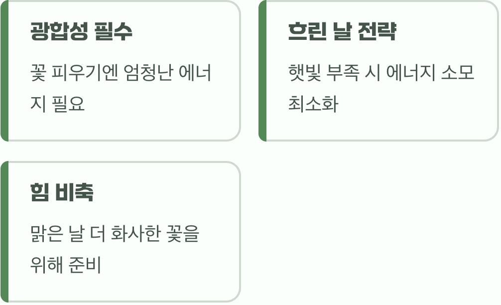 에너지를 아끼는 똑똑한 절약 정신