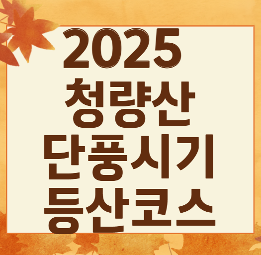 가을 여행지 추천! 청량산 단풍 절정 시기 + 초보자&가족 코스 추천
