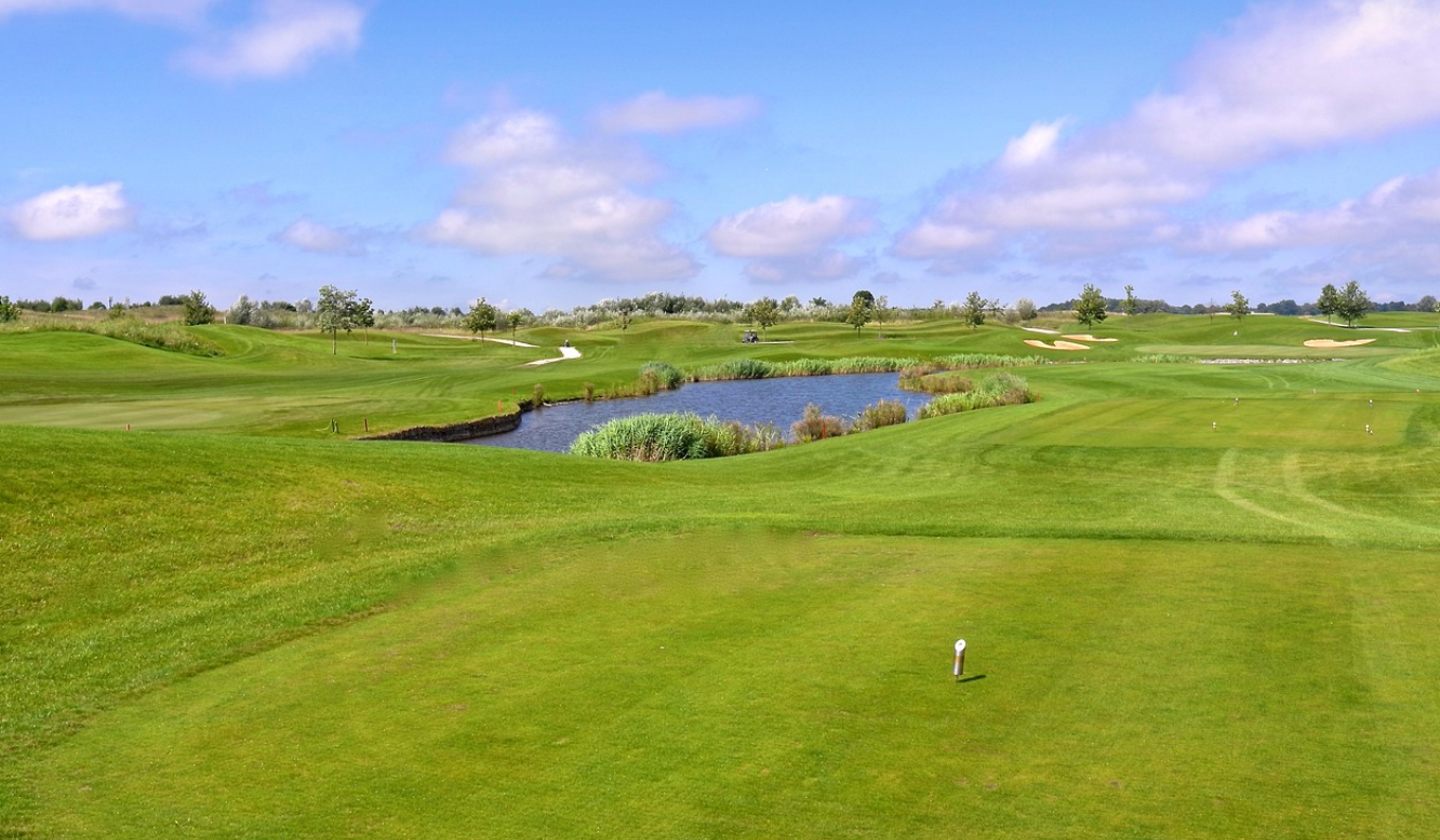 골프장 푸른 잔디 사진