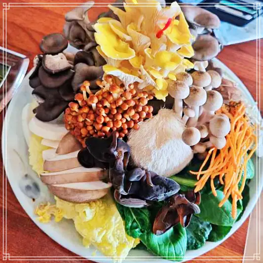 맛있는 녀석들 포천 허브아일랜드 아트밸리 신북온천 근처 버섯샤브샤브 맛집