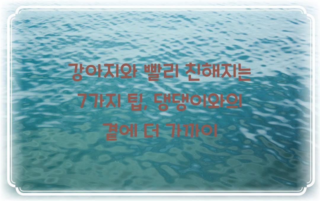 강아지와 빨리 친해지는 7가지 팁