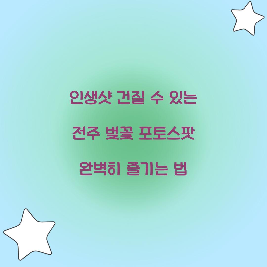 인생샷 건질 수 있는 전주 벚꽃 포토스팟