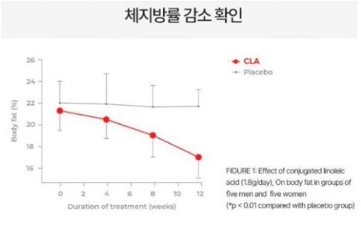 푸응-팻버닝-효능-효과
