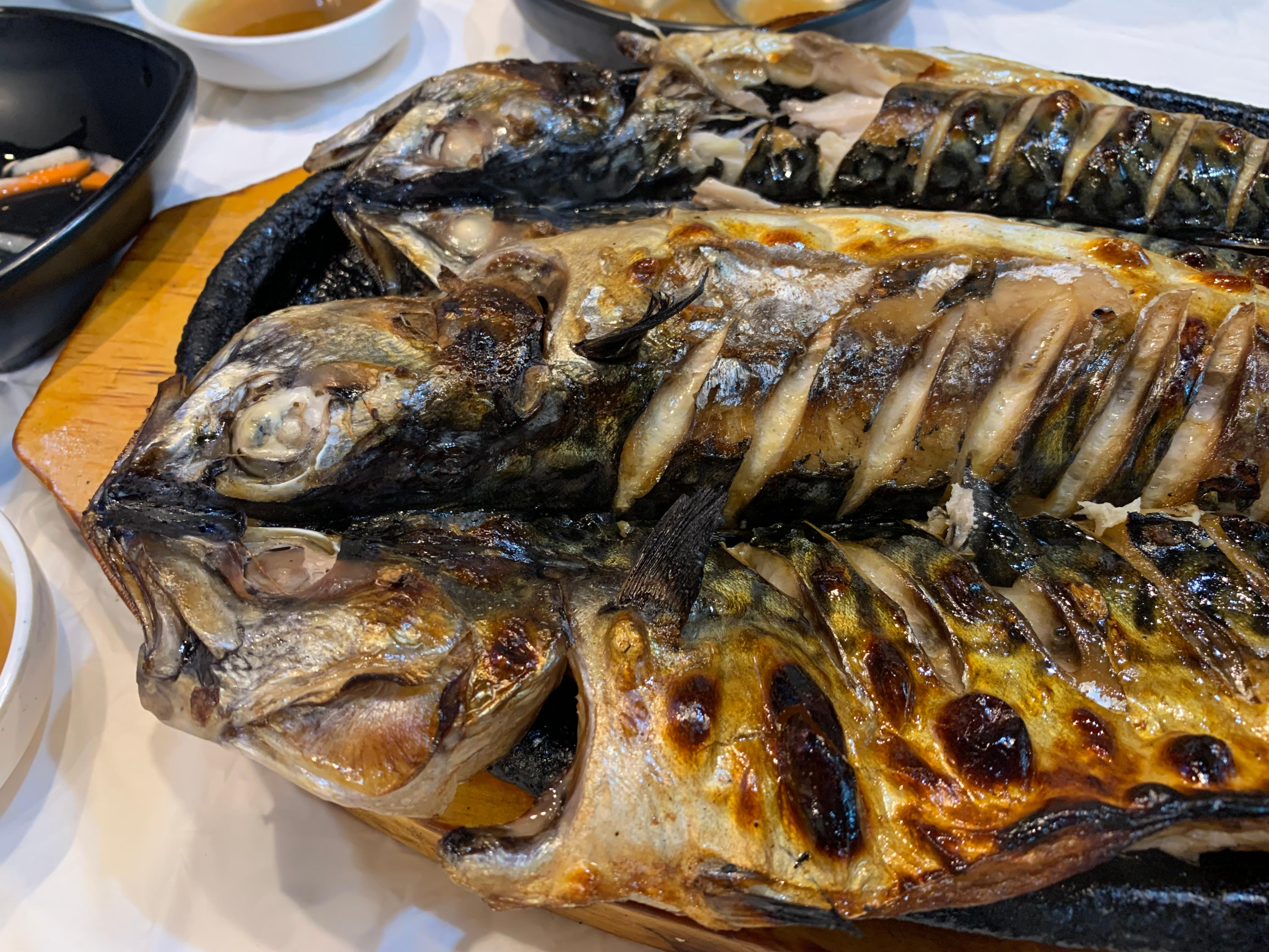 까치산&middot;신월동 맛집! 화덕생선구이굽자 &ndash; 바삭 촉촉한 고등어구이 &amp; 솥밥까지 완벽한 한 끼!
