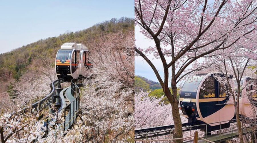 화담숲 모노레일 사진